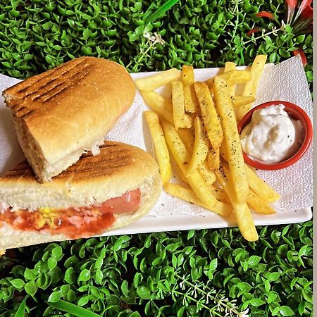 Hostel Chilli تيرانا المظهر الخارجي الصورة